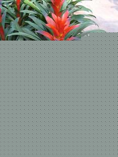 ˵ͷ