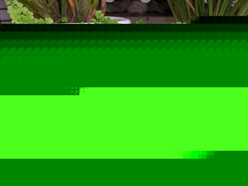 ާ