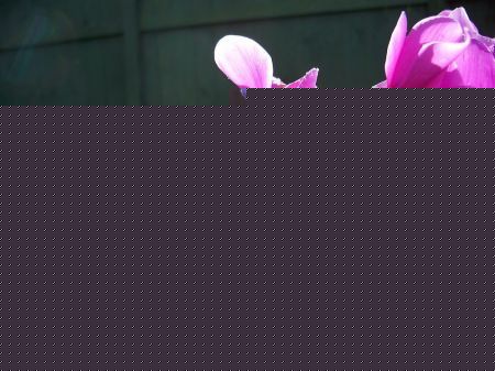 ɿ