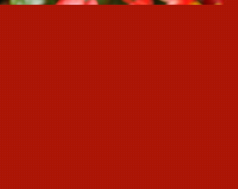Ļֳ