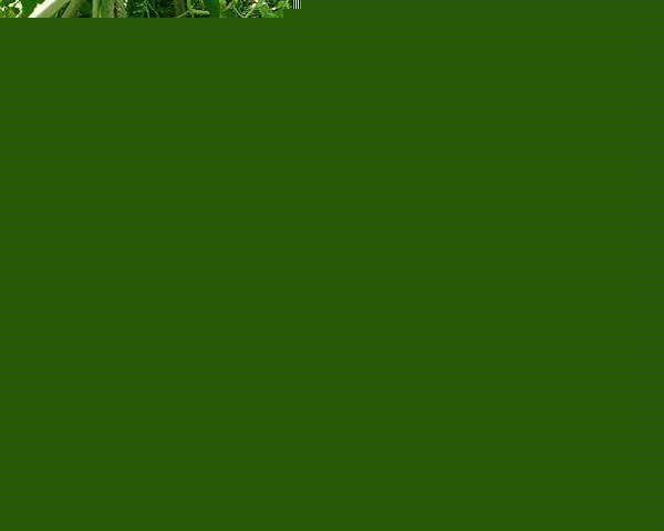 һҶ