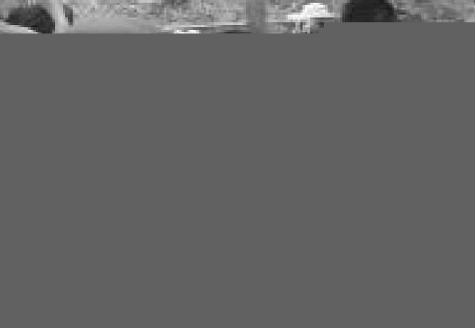 包扎方法1