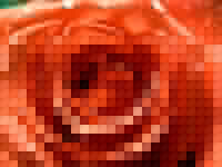 ˿ϼõ