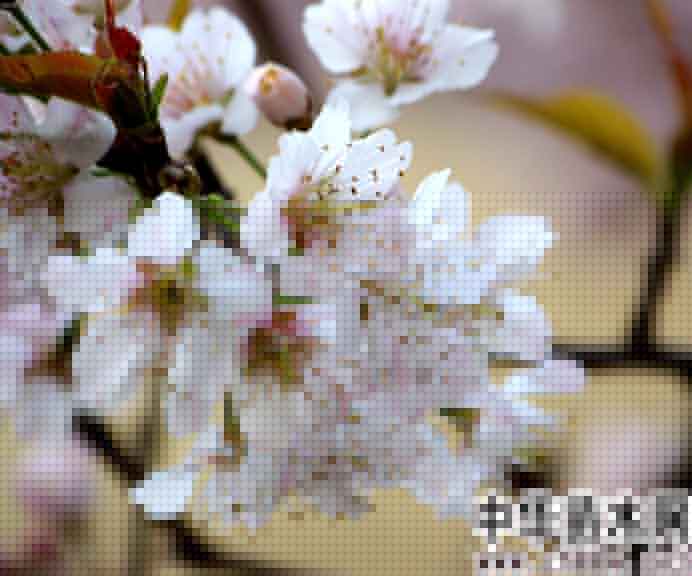 ӣһ