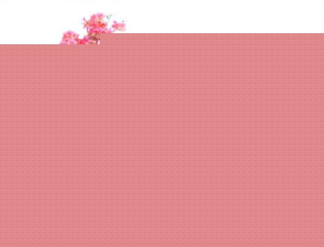 盆景大赛作品欣赏